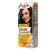 Palette Color szampon do włosów koloryzujący nr 221 brąz 50 ml
