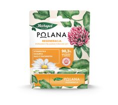 Polana – Pomadka pielęgnacyjna do ust Regeneracja (4.7 g)