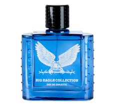 Real Time Big Eagle Collection Blue woda toaletowa spray 100ml