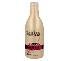 Stapiz Sleek Line Colour szampon do włosów farbowanych 300 ml