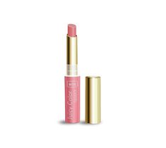 Wibo Juicy Color Lipstick pomadka i balsam do ust 2 (2.5 ml)