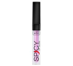 Wibo Lip Gloss Spicy błyszczyk do ust 19 3ml
