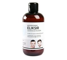 WS Academy Eliksir stabilizująco-odbudowujący szampon do włosów Bezzapachowy 250ml