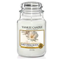 Yankee Candle Świeca zapachowa duży słój Early Spring Bloom 623g