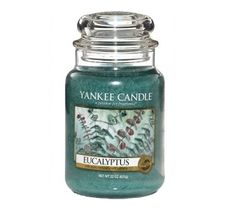 Yankee Candle Świeca zapachowa duży słój Eucalyptus 623g