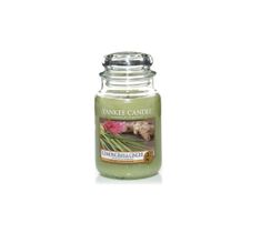 Yankee Candle Świeca zapachowa duży słój Lemongrass & Ginger 623g