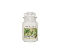 Yankee Candle Świeca zapachowa duży słój Linden Tree 623g