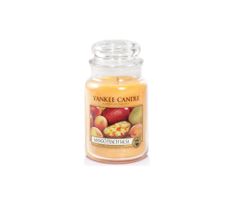 Yankee Candle Świeca zapachowa duży słój Mango Peach Salsa 623g