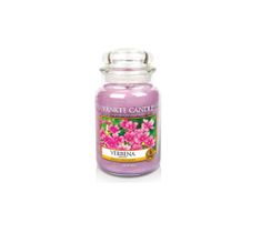 Yankee Candle Świeca zapachowa duży słój Verbena 623g