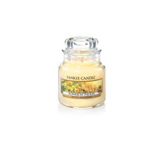 Yankee Candle Świeca zapachowa mały słój Flowers in the Sun 104g