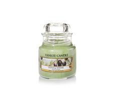Yankee Candle Świeca zapachowa mały słój Olive & Thyme 104g