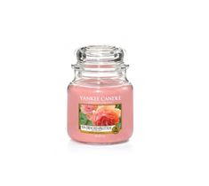 Yankee Candle Świeca zapachowa mały słój Sun-Drenched Apricot Rose 104g