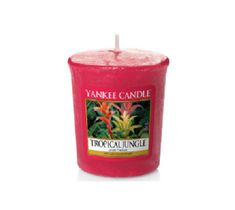 Yankee Candle Świeca zapachowa sampler Tropical Jungle 49g