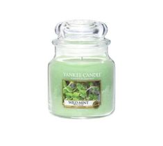 Yankee Candle Świeca zapachowa średni słój Wild Mint 411g