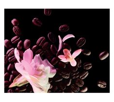 Yves Saint Laurent Black Opium Floral Shock woda perfumowana spray 30 ml