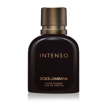 Dolce & Gabbana Intenso Pour Homme (woda perfumowana spray 50 ml)