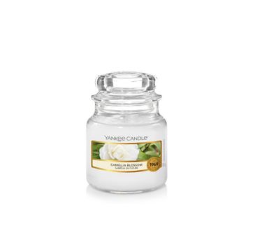 Yankee Candle – Świeca zapachowa mały słój Camellia Blossom (104 g)