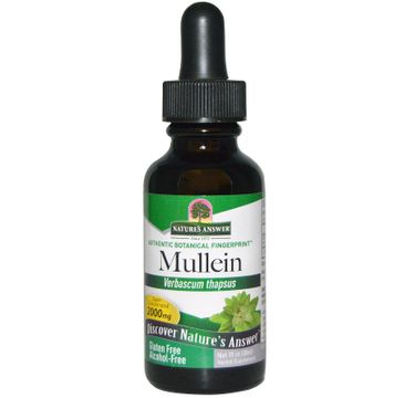 Nature's Answer Mullein ekstrakt z dziewanny drobnokwiatowej suplement diety 30ml