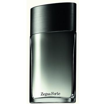 Ermenegildo Zegna Zegna Forte woda toaletowa spray 100ml