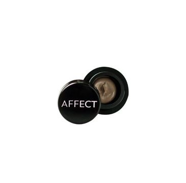 Affect Eyebrow Pomade Waterproof wodoodporna pomada do brwi Light (5 g)