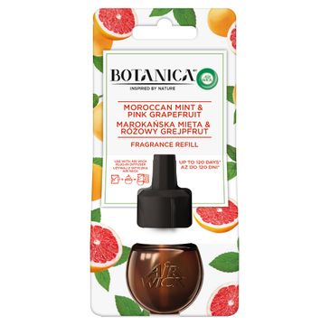 Air Wick Botanica wkład do elektrycznego odświeżacza Marokańska Mięta & Różowy Grejpfrut (19 ml)