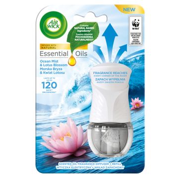 Air Wick Essential Oils wtyczka elektryczna i wkład Morska Bryza i Kwiat Lotosu (19 ml)
