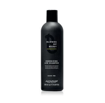 Alfaparf Blends Of Many Energizing Low Shampoo szampon energetyzujący do włosów dla mężczyzn (250 ml)