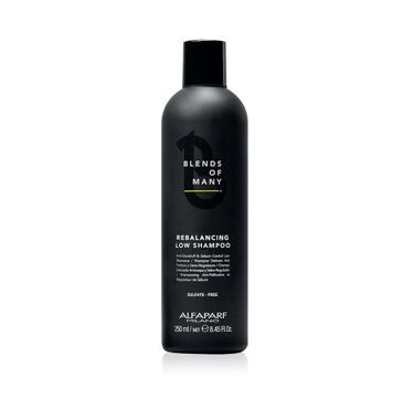 Alfaparf Blends Of Many Rebalancing Low Shampoo szampon do włosów przywracający równowagę skórze głowy dla mężczyzn (250 ml)