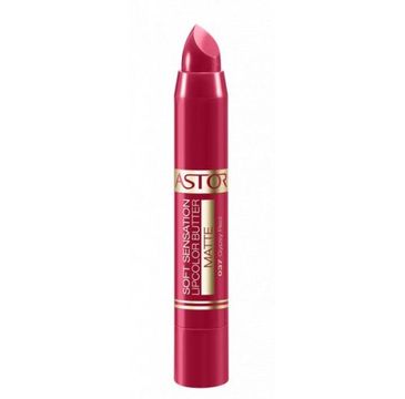 Astor Soft Sensation Lipcolor Butter Matte pomadka do ust w kredce 37 Gypsy Red 4,8g