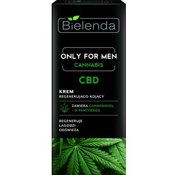 Bielenda Cannabis krem regenerująco-kojący CBD Only For Men (50 ml)