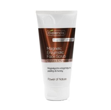 Bielenda Professional Magnetic Enzymatic Face Scrub peeling magnetyczno-enzymatyczny do twarzy (150 g)