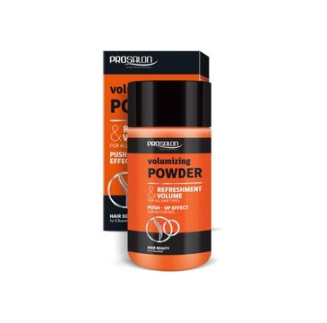 Chantal – Prosalon Volumizing Powder puder zwiększający objętość włosów (20 g)