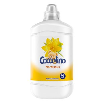 Coccolino Narcissus płyn do płukania tkanin 1680ml