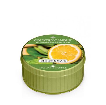 Country Candle Daylight świeczka zapachowa Citrus And Sage (42 g)