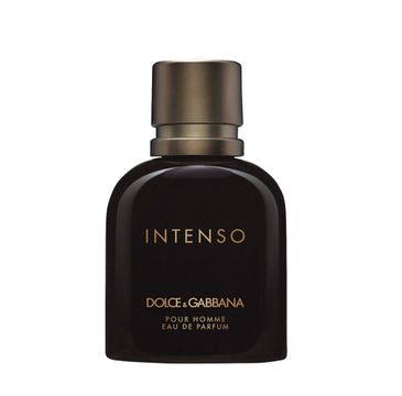 Dolce & Gabbana Intenso Pour Homme woda perfumowana spray (40 ml)