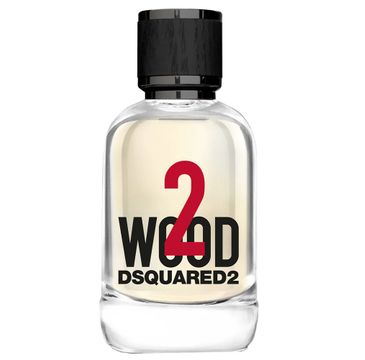 Dsquared2 2 Wood Pour Homme woda toaletowa spray 100ml