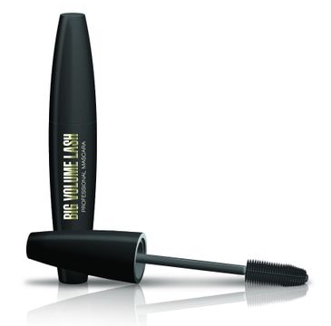 Eveline Big Volume Lash  pogrubiający tusz do rzęs (9 ml)