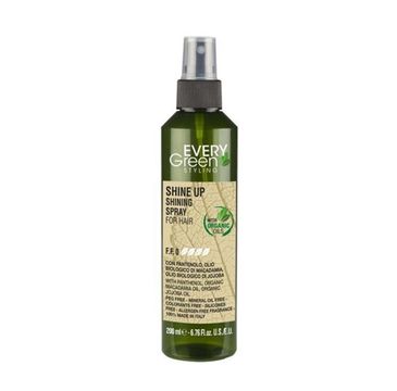 Every Green Shine Up Shining Spray nabłyszczacz do włosów w sprayu (200 ml)