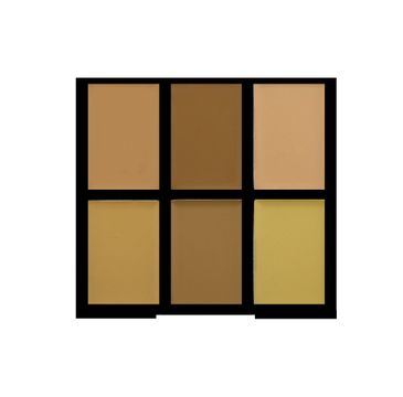 Freedom Pro Conceal Palette Light/Medium Paleta korektorów Light/Medium do twarzy 1 szt