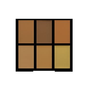 Freedom Pro Conceal Palette Medium/Dark Paleta korektorów Medium/Dark do twarzy 1 szt