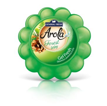 General Fresh Arola Odświeżacz powietrza w żelu typu "dynia"- Leśny (150 g)