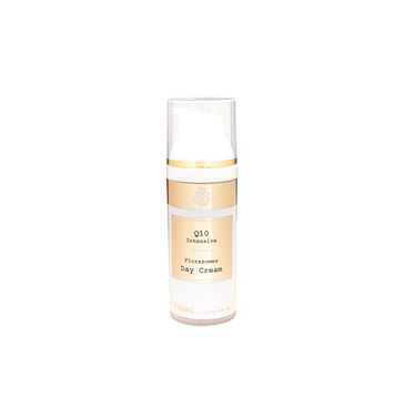 Hagina Q10 Intensive Day Cream krem do twarzy na dzień z koenzymem Q10 (50 ml)