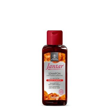 Jantar szampon do włosów zniszczonych travel size (100 ml)