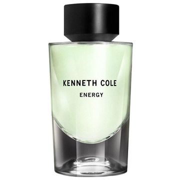 Kenneth Cole Energy woda toaletowa spray (100 ml)