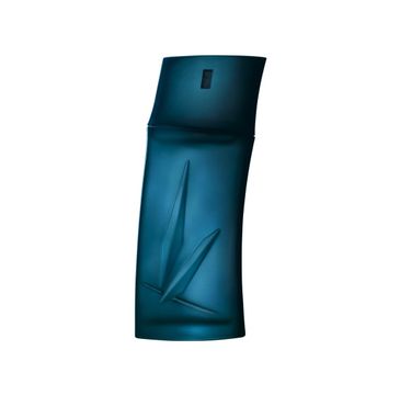 Kenzo Pour Homme woda toaletowa spray (30 ml)