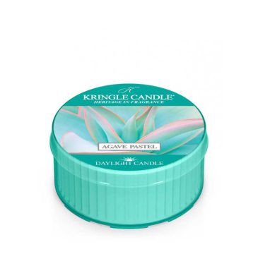 Kringle Candle Daylight świeczka zapachowa - Agave Pastel (42 g)