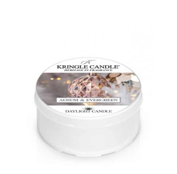 Kringle Candle Daylight świeczka zapachowa - Aurum & Evergreen (42 g)