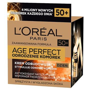 L'Oreal Paris Age Perfect Odrodzenie Komórek – krem odbudowujący na dzień 50+ (50 ml)