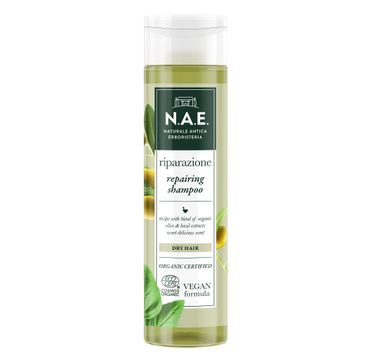 N.A.E. Riparazione Repairing Shampoo szampon do włosów suchych regenerujący (250 ml)