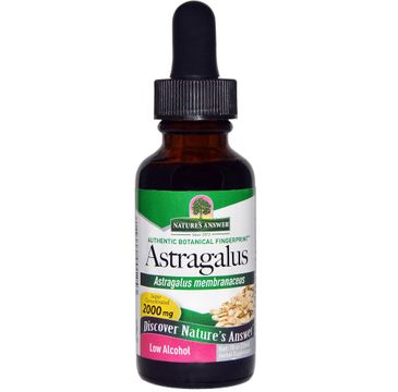 Nature's Answer Astragalus ekstrakt z korzenia traganka błoniastego suplement diety 30ml